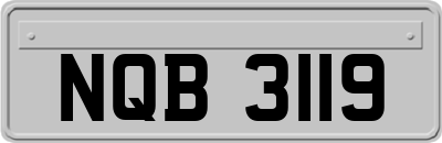 NQB3119