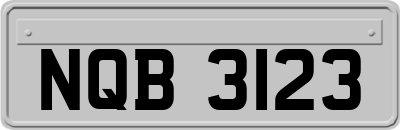 NQB3123