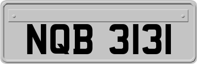 NQB3131