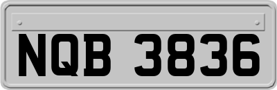 NQB3836