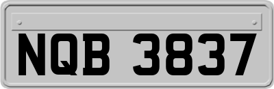 NQB3837