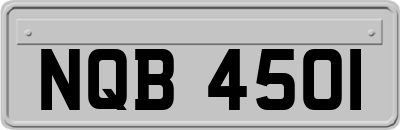 NQB4501