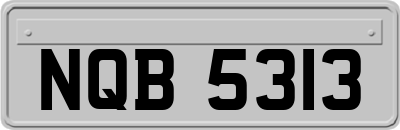 NQB5313