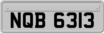 NQB6313