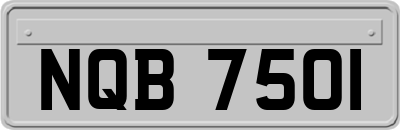 NQB7501