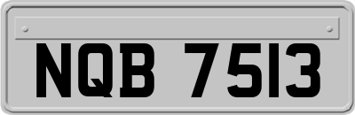 NQB7513