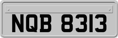 NQB8313