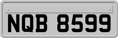 NQB8599