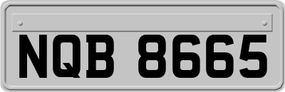 NQB8665