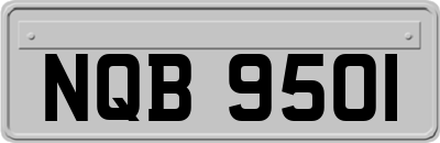 NQB9501