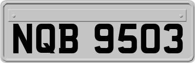 NQB9503