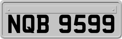 NQB9599