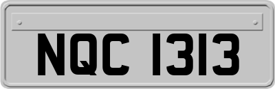 NQC1313