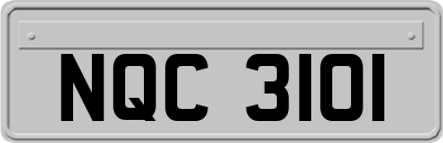 NQC3101