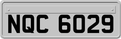 NQC6029