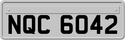 NQC6042