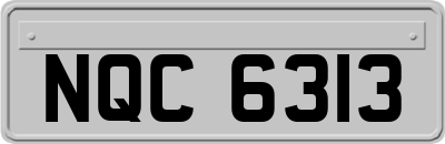 NQC6313
