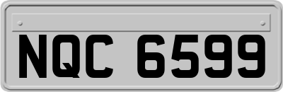 NQC6599