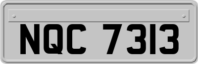 NQC7313