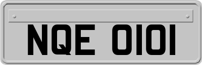 NQE0101