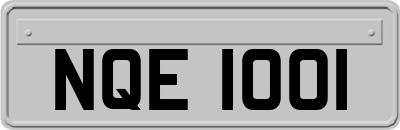 NQE1001