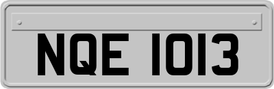NQE1013