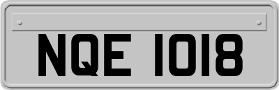 NQE1018