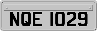 NQE1029