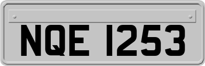 NQE1253