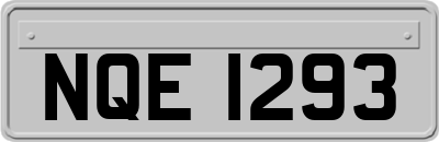 NQE1293