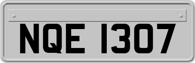 NQE1307