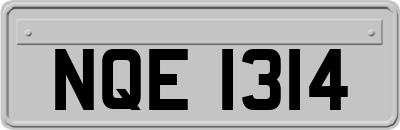 NQE1314