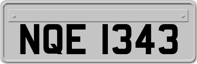 NQE1343