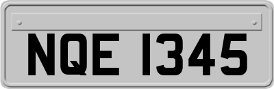 NQE1345