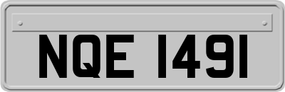 NQE1491
