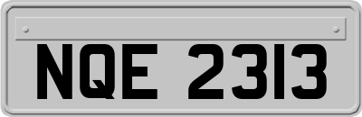 NQE2313
