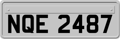NQE2487