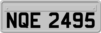 NQE2495