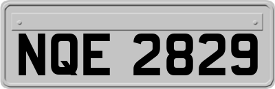 NQE2829
