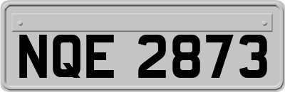 NQE2873