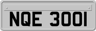 NQE3001