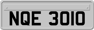 NQE3010