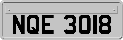 NQE3018