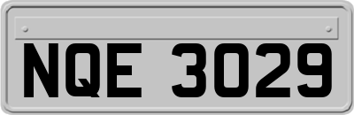 NQE3029