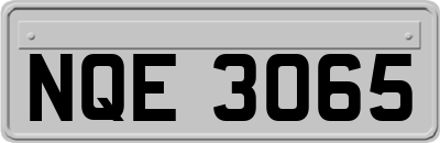 NQE3065