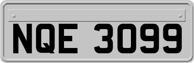 NQE3099