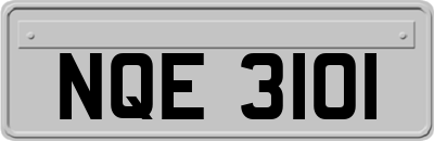 NQE3101