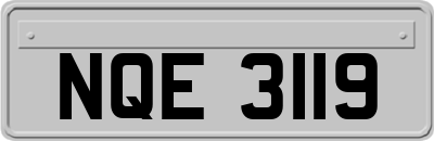 NQE3119