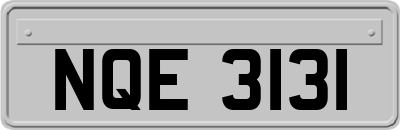 NQE3131