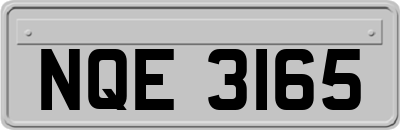 NQE3165